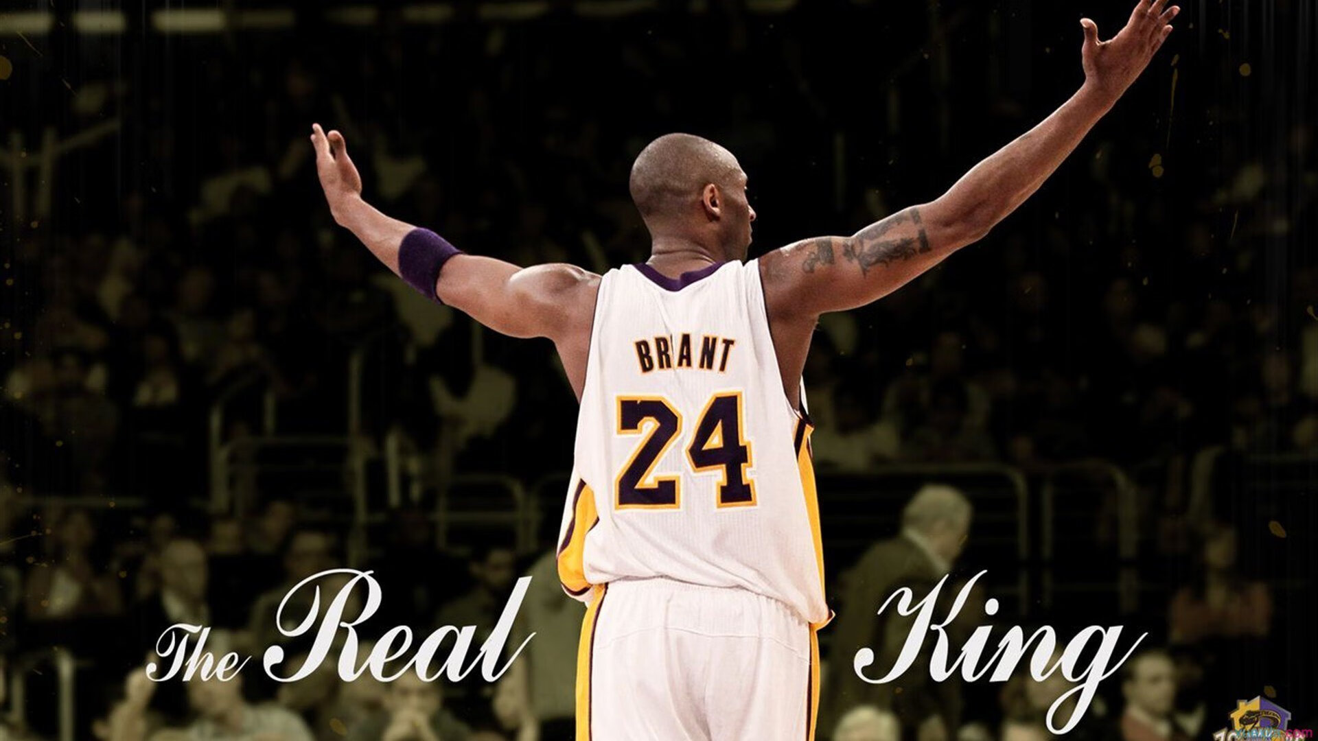 _魔术补强阵容,逆境中坚韧不拔_,魔术cull